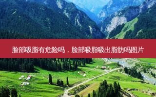 脸部吸脂有危险吗，脸部吸脂吸出脂肪吗图片