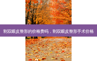 割双眼皮整形的价格贵吗，割双眼皮整形手术价格