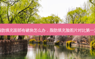脂肪填充面部有硬块怎么办，脂肪填充脸图片对比第一天