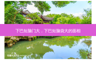 下巴短脑门大，下巴短脑袋大的面相