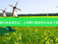 新生植发浦东店，上海新生植发种头发多少钱