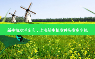 新生植发浦东店，上海新生植发种头发多少钱