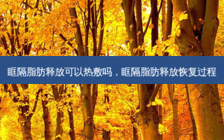 眶隔脂肪释放可以热敷吗，眶隔脂肪释放恢复过程