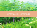 垫下巴的过程，垫下巴作用