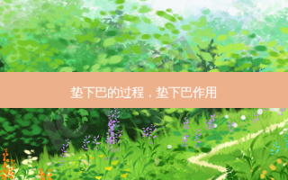 垫下巴的过程，垫下巴作用