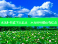 水光针后皮下出血点，水光针针眼处有红点
