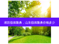 潍坊假体隆鼻，山东假体隆鼻价格多少