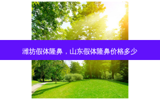 潍坊假体隆鼻，山东假体隆鼻价格多少
