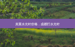 美莱水光针价格，成都打水光针