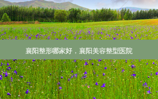 襄阳整形哪家好，襄阳美容整型医院