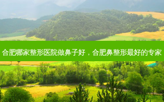 合肥哪家整形医院做鼻子好，合肥鼻整形 *** 好的专家