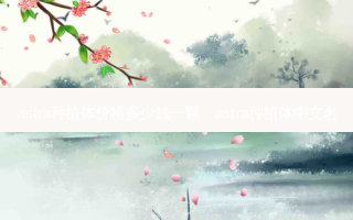 astra种植体价格多少钱一颗，astra种植体中文名
