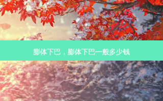 膨体下巴，膨体下巴一般多少钱