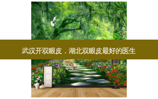 武汉开双眼皮，湖北双眼皮 *** 好的医生