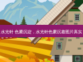 水光针 色素沉淀，水光针色素沉着图片真实