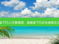 假体垫下巴12天恢复图，假体垫下巴后长痘痘怎么回事