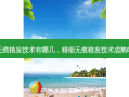 无痕植发技术有哪几，精细无痕植发技术成熟吗