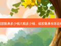 硅胶隆鼻多少钱大概多少钱，硅胶隆鼻有坏处吗
