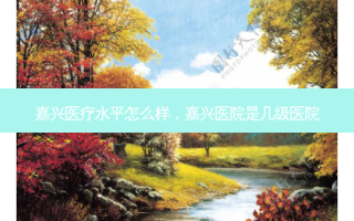 嘉兴医疗水平怎么样，嘉兴医院是几级医院