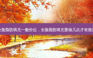 全脸脂肪填充一般价位，全脸脂肪填充要做几次才有效果