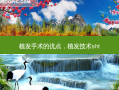 植发手术的优点，植发技术sht