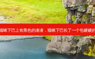 猫咪下巴上有黑色的渣渣，猫咪下巴长了一个包硬硬的