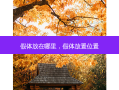 假体放在哪里，假体放置位置