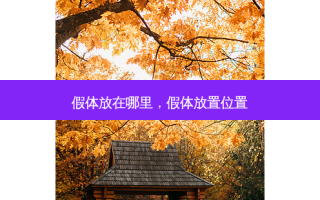假体放在哪里，假体放置位置