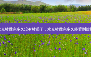 水光针做完多久没有针眼了，水光针做完多久能看到效果