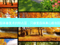 这种假体修复术的特点是，只修复假体鼻山根创面大吗