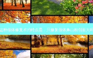 这种假体修复术的特点是，只修复假体鼻山根创面大吗