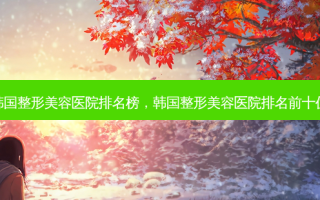 韩国整形美容医院排名榜，韩国整形美容医院排名前十位