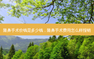隆鼻手术价钱是多少钱，隆鼻手术费用怎么样报销