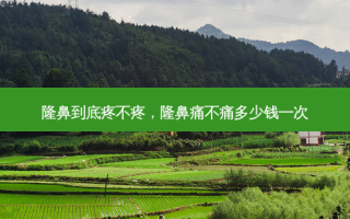 隆鼻到底疼不疼，隆鼻痛不痛多少钱一次