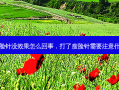 打了瘦脸针没效果怎么回事，打了瘦脸针需要注意什么事项
