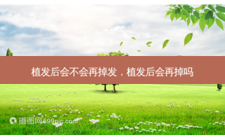 植发后会不会再掉发，植发后会再掉吗