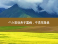 牛永敢做鼻子案例，牛勇敢隆鼻
