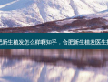 合肥新生植发怎么样啊知乎，合肥新生植发医生排名